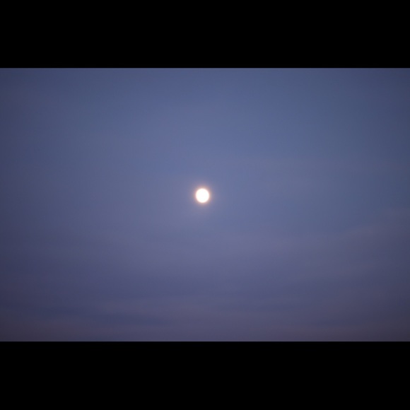 Meet your Posher, Ryan - Picture 1 of 1